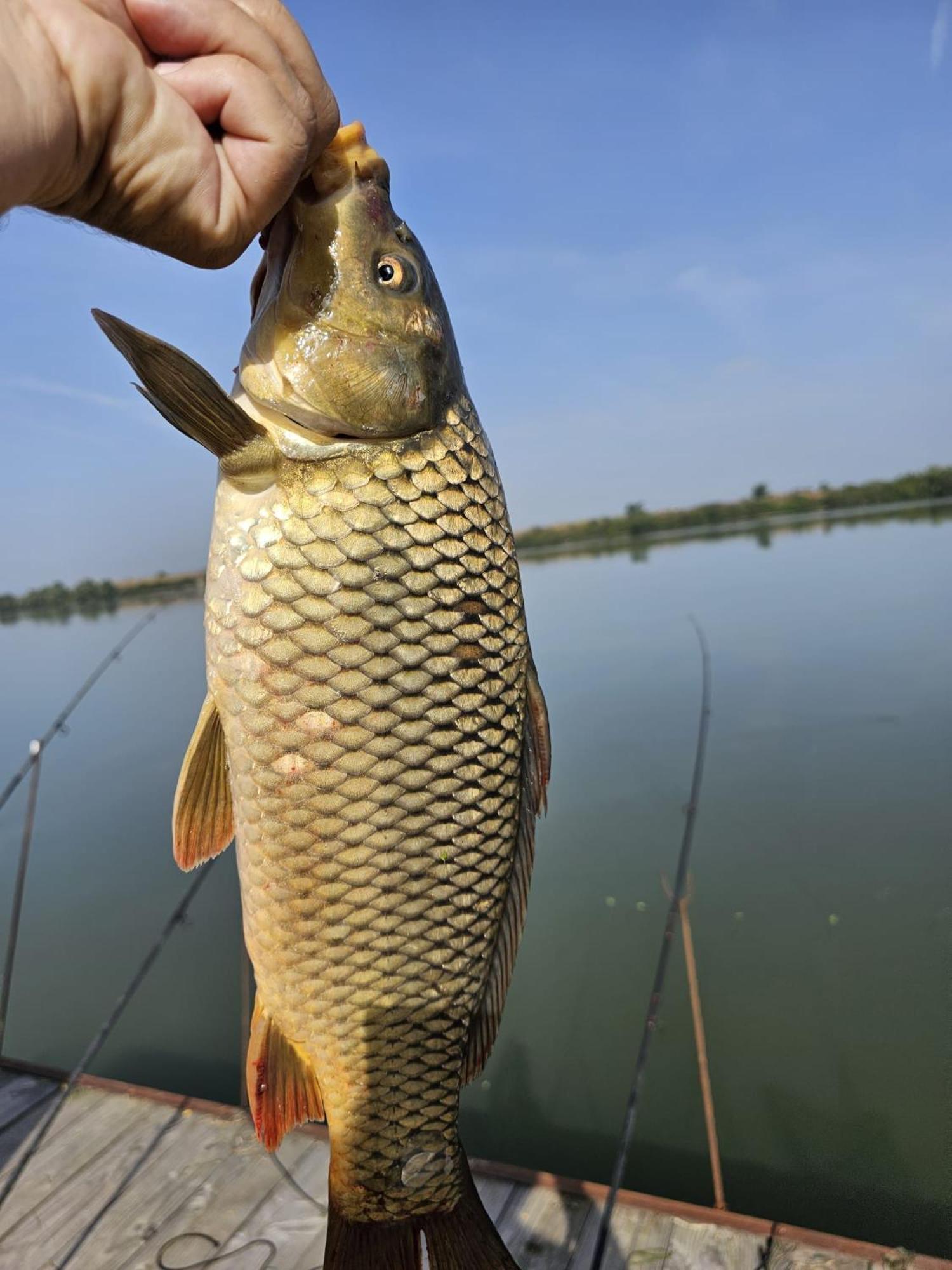 Danube Home Ostrovu Corbului المظهر الخارجي الصورة