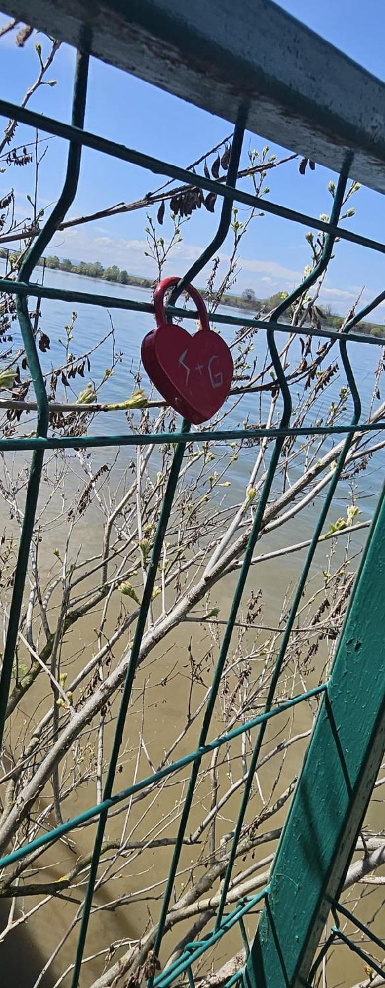 Danube Home Ostrovu Corbului المظهر الخارجي الصورة